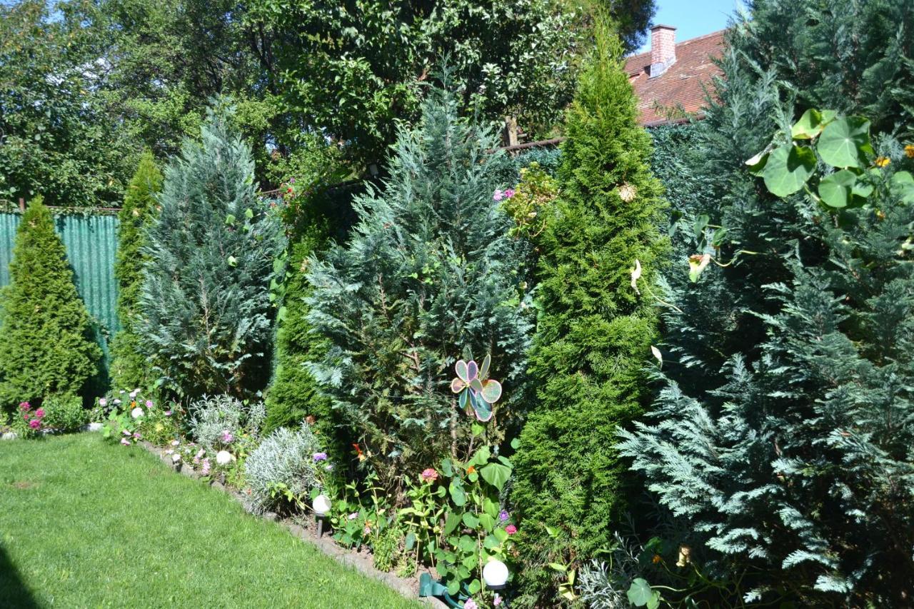 Gavri'S Relaxing Place Brasov Exterior photo
